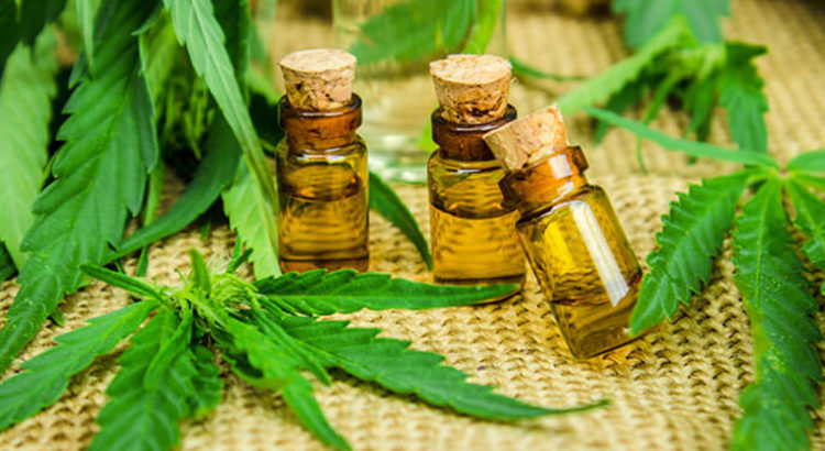 cbd oil canada