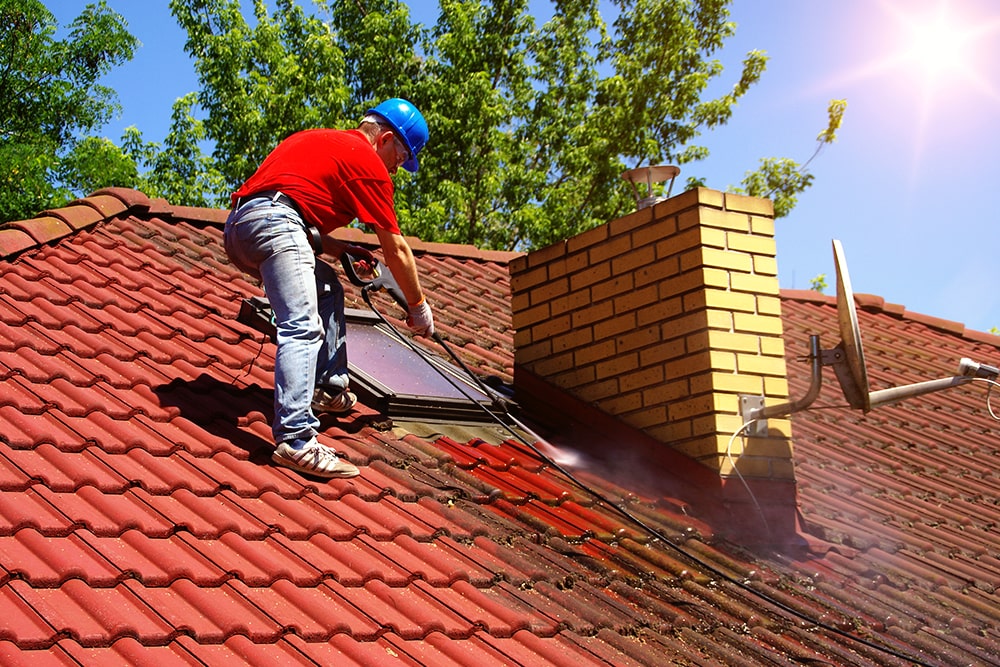 Roof Moss Removal